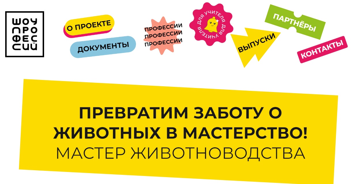 ШОУ ПРОФЕССИЙ.
